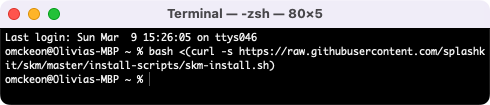 bash curl installation command does nothing