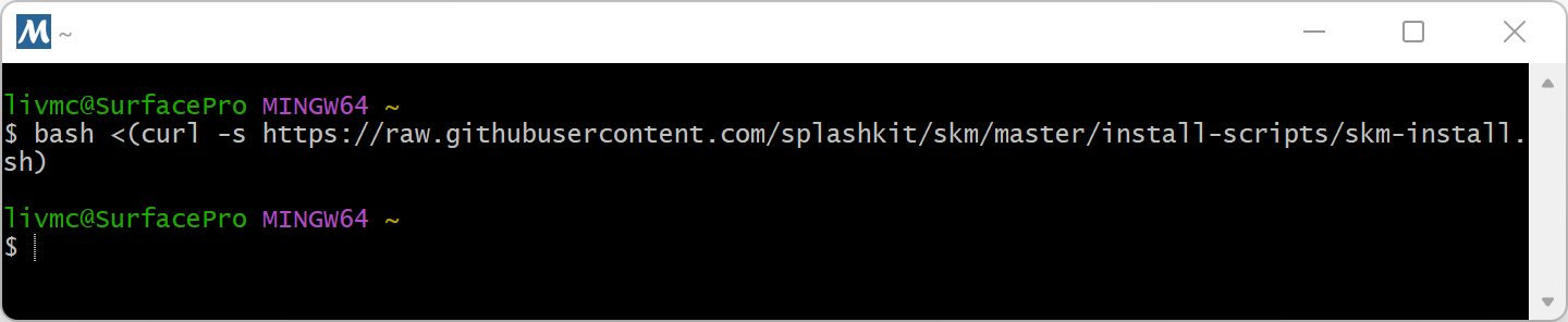 bash curl installation command does nothing